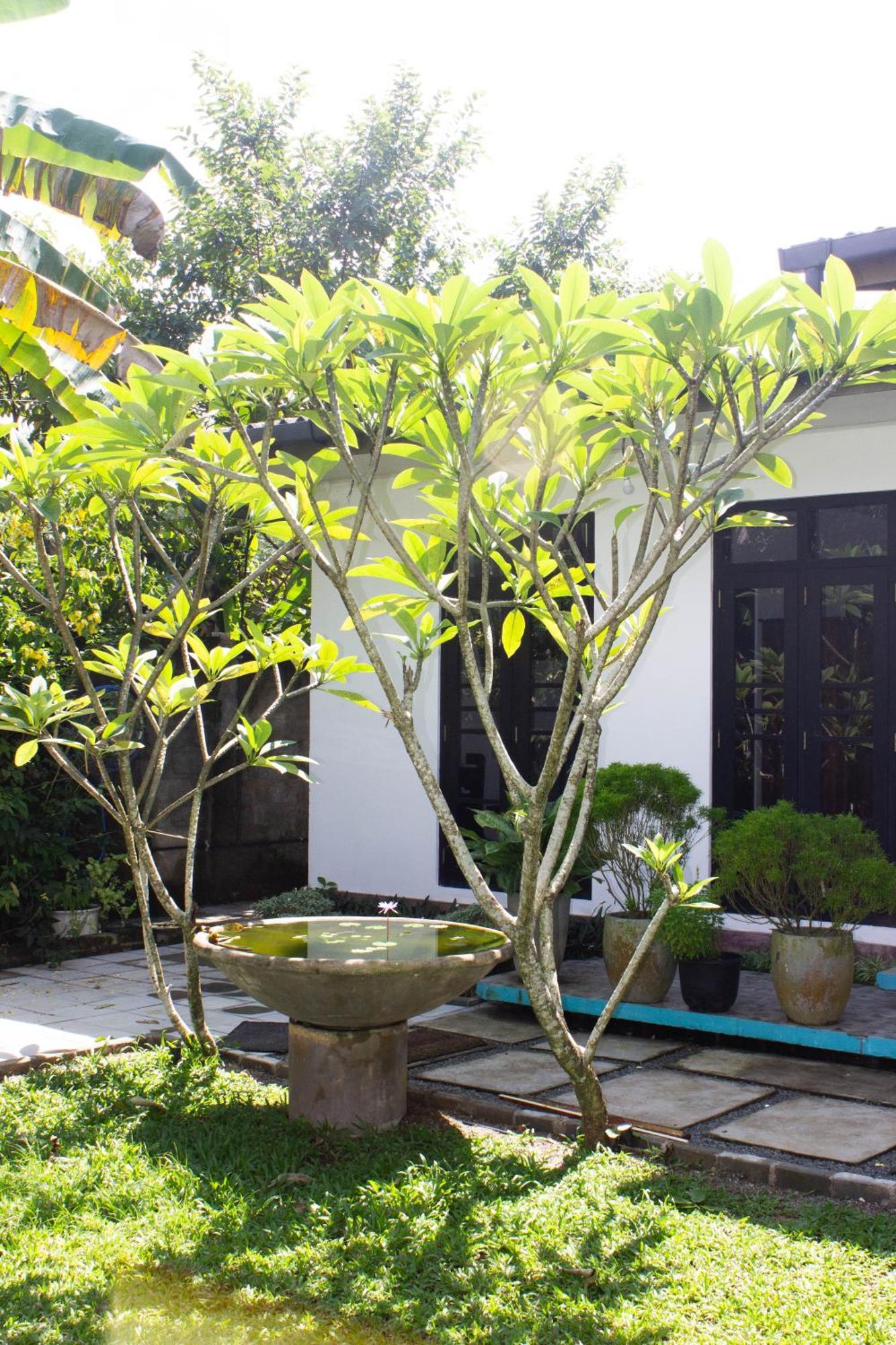 Uralsurf House Hotel เวลิกามา ภายนอก รูปภาพ